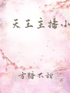 天王主播小说