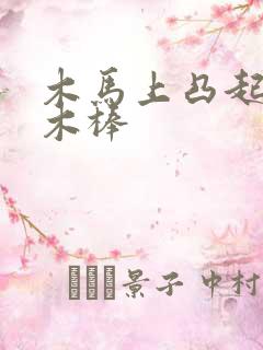 木马上凸起电动木棒