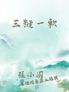 三糙一软