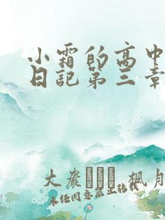 小霜的高中成长日记第三章