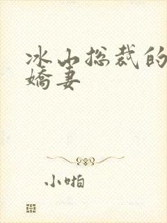 冰山总裁的掠爱娇妻