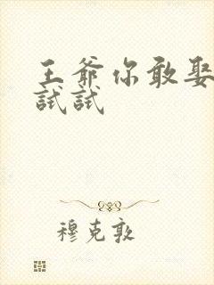 王爷你敢娶小三试试