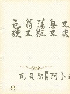 色翁荡息又大又硬又粗又爽电影