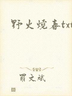 野火烧春txt