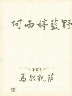 何雨婷蓝野铭