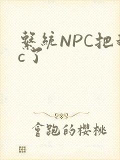 系统NPC把我c了