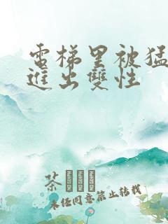 电梯里被猛烈的进出双性