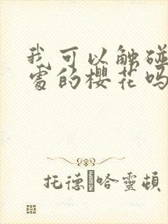 我可以触碰你深处的樱花吗