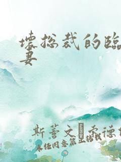 坏总裁的临时娇妻