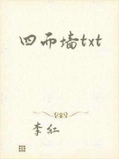 四面墙txt