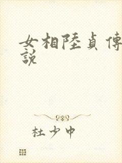 女相陆贞传奇小说