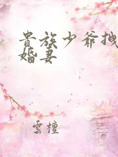 贵族少爷拽拽未婚妻