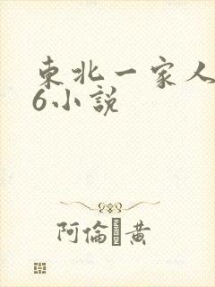 东北一家人1一6小说