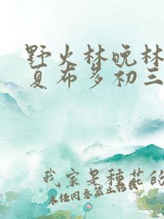 野火林晚林潮生夏布多初三边缘