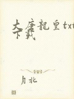 大唐龙皇txt下载