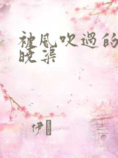 被风吹过的夏天晓渠