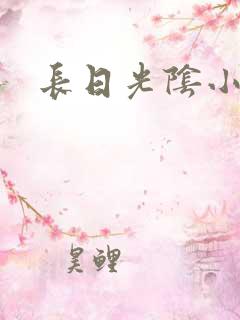 长日光阴小说