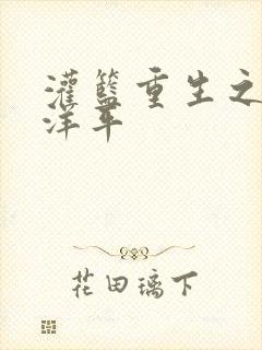 灌篮重生之水户洋平