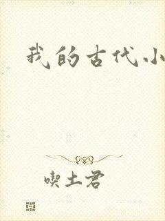 我的古代小夫侍