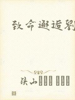 致命邂逅刘小寐