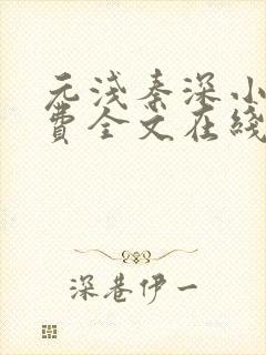 元浅秦深小说免费全文在线