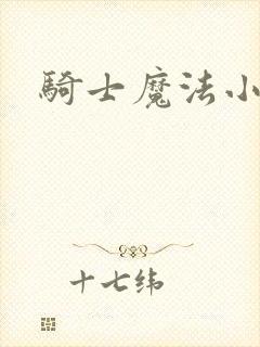 骑士魔法小说