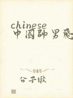 chinese中国帅男飞机