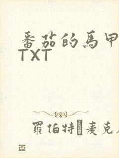 番茄的马甲小说TXT