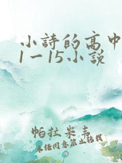 小诗的高中日记1一15小说