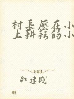 村长压在小娥身上耕耘的小说