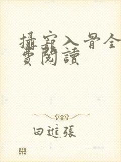 摄宠入骨全文免费阅读