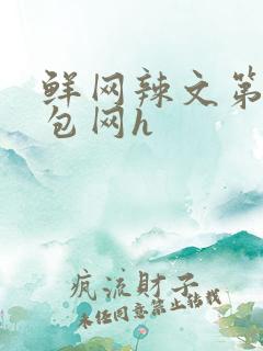 鲜网辣文第二书包网h