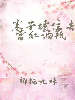 塞子堵住去上学 当红酒瓶