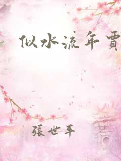 似水流年贾二虎