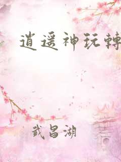 逍遥神玩转网游