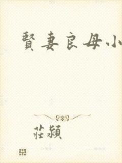 贤妻良母小说