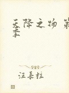 天降之物 第一季