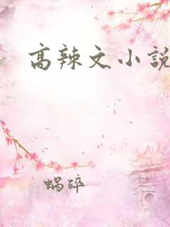 高辣文小说