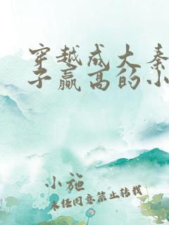 穿越成大秦三公子赢高的小说