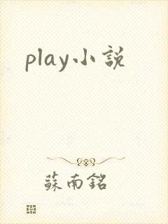 play小说
