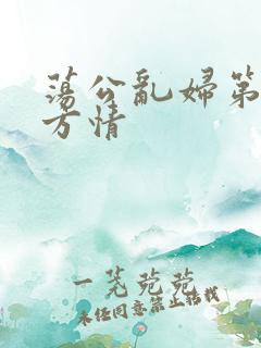 荡公乱妇第1章方情