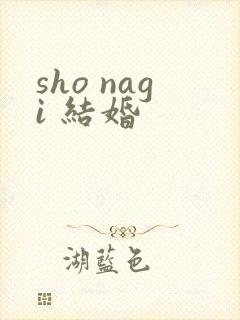 sho nagi 结婚
