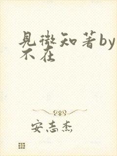 见微知著by音不在