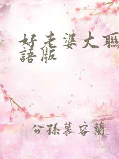 好老婆大联盟国语版