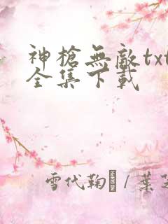 神枪无敌txt全集下载