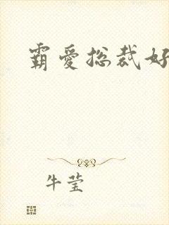 霸爱总裁好生猛