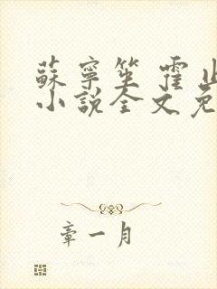 苏宁笙 霍止行小说全文免费阅读