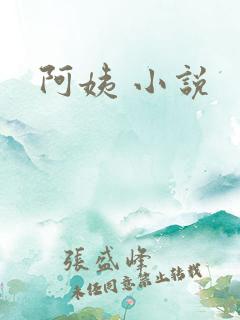 阿姨 小说