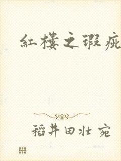 红楼之瑕疵