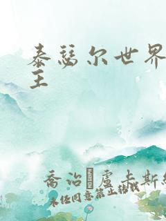 泰瑟尔世界之领主